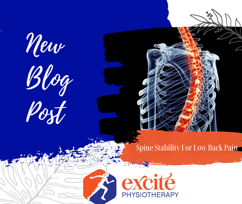 Spine Stabilization for Low Back Pain